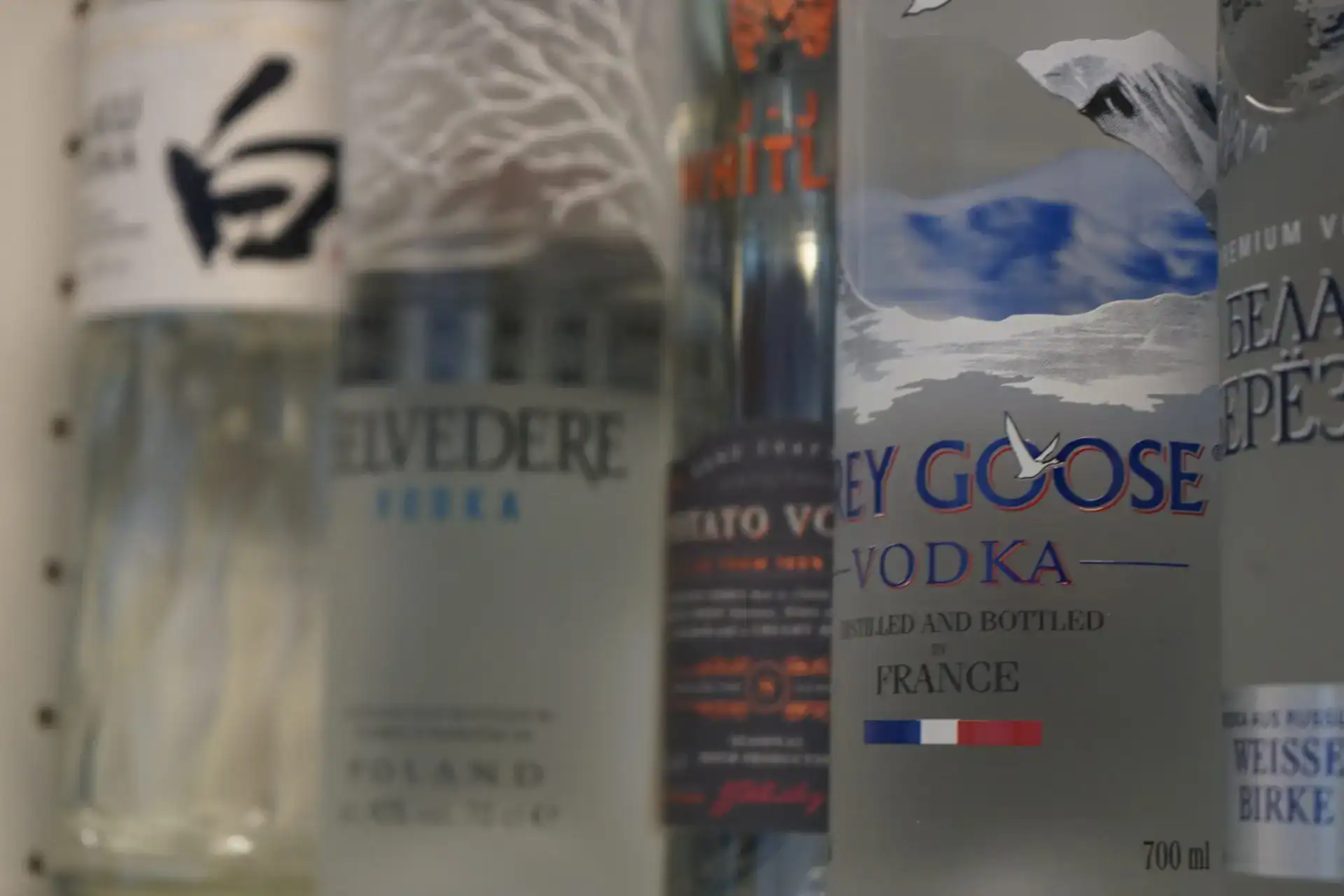 Wodka Tasting mit Blankoon in München